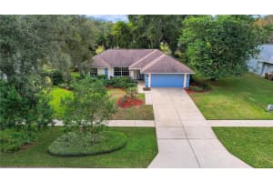 36629 FRANCIS DRIVE, GRAND ISLAND, FL 32735 - MLS#MFRG5104243