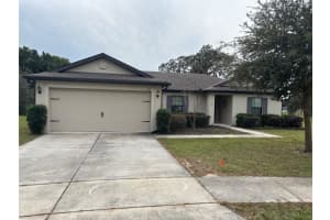 1597 Orne St, MASCOTTE 1597 Orne St, MASCOTTE