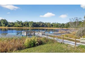 11400 185TH TERRACE, OCKLAWAHA, FL 32179 Sold 02/03/26