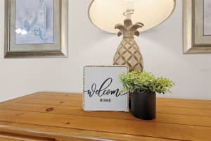 2913 BARBOZA DRIVE, THE VILLAGES, FL 32162 - MLS#MFRG5104407