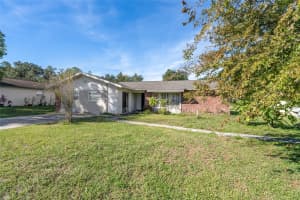 203 BENTBOUGH DRIVE, LEESBURG, FL 34748 - MLS#MFRG5104445