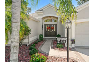 728 DOWDING WAY, THE VILLAGES, FL 32162 - MLS#MFRG5104465