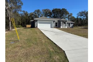 6005 DARLINGTON DRIVE, CITRUS SPRINGS, FL 34434 - MLS#MFRG5104471