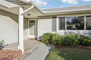 26209 NEWCOMBE CIRCLE, LEESBURG, FL 34748 - MLS#MFRG5104476