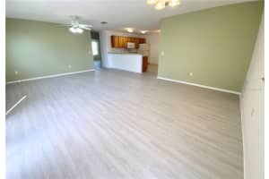 317 ROWESVILLE LANE, THE VILLAGES, FL 32162 - MLS#MFRG5104525