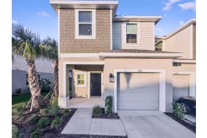 3811 SEPIA STREET, KISSIMMEE, FL 34746 - MLS#MFRG5104666