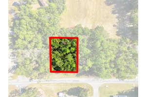 10441 BISCAYNE DRIVE, CITRUS SPRINGS, FL 34434 - MLS#MFRG5104701