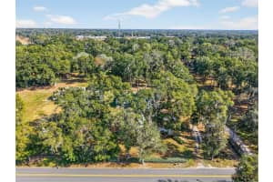 13705 25TH AVENUE, SUMMERFIELD, FL 34491 - MLS#MFRG5104705