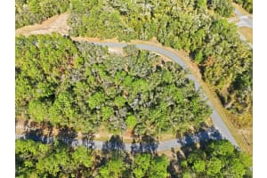 2237 STRIBLIN DRIVE, CITRUS SPRINGS, FL 34434 - MLS#MFRG5104707