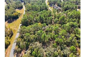 2237 STRIBLIN DRIVE, CITRUS SPRINGS, FL 34434 - MLS#MFRG5104707