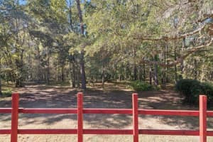 17039 N HIGHWAY 329, REDDICK, FL 32686 Sold 01/19/26