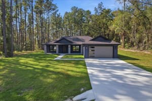 9802 ATHENIA DRIVE, CITRUS SPRINGS, FL 34434 - MLS#MFRG5104759