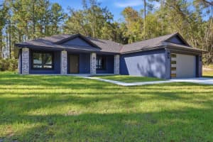 9802 ATHENIA DRIVE, CITRUS SPRINGS, FL 34434 - MLS#MFRG5104759