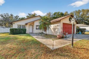 40007 PARKINSONIA STREET, LADY LAKE, FL 32159 - MLS#MFRG5104766