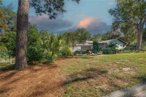 1438 CRESTVIEW DR, MOUNT DORA, FL 32757 - MLS#MFRG5104786
