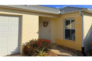 792 CHAPPELLS DRIVE, THE VILLAGES, FL 32162 - MLS#MFRG5104830