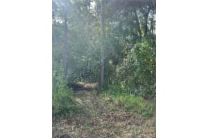 HERRICK AVE, EUSTIS, FL 32726 Sold 03/13/26