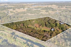 27201 WOODHOLLOW ROAD, MOUNT DORA, FL 32757 - MLS#MFRG5104857