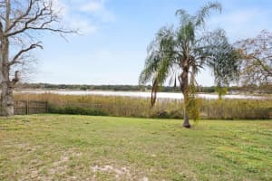 43 LAKE JACKSON DRIVE, MASCOTTE, FL 34753 - MLS#MFRG5104896