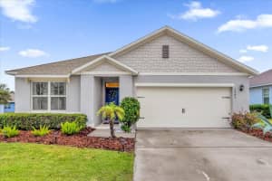 3343 WOLF RUN ROAD, MOUNT DORA, FL 32757 - MLS#MFRG5104913