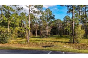 24325 DEEP SPRINGS LOOP, EUSTIS, FL 32736 - MLS#MFRG5104946