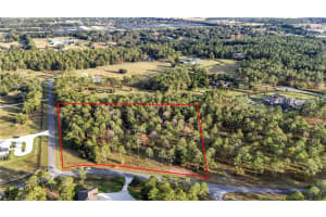 24325 DEEP SPRINGS LOOP, EUSTIS, FL 32736 - MLS#MFRG5104946