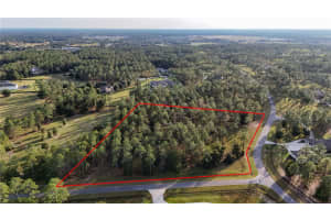 24325 DEEP SPRINGS LOOP, EUSTIS, FL 32736 - MLS#MFRG5104946