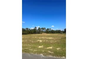 38553 WOODED MEADOW DRIVE, UMATILLA, FL 32784 - MLS#MFRG5104954