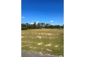 38553 WOODED MEADOW DRIVE, UMATILLA, FL 32784 - MLS#MFRG5104954