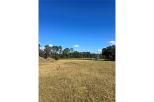 38553 WOODED MEADOW DRIVE, UMATILLA, FL 32784 - MLS#MFRG5104954