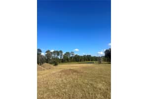 38553 WOODED MEADOW DRIVE, UMATILLA, FL 32784 - MLS#MFRG5104954