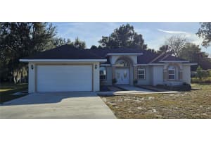 17271 PEGGY AVENUE, MOUNT DORA, FL 32757 - MLS#MFRG5104979