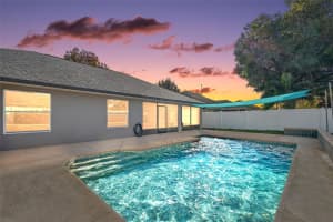 2113 WOLF RIDGE LANE, MOUNT DORA, FL 32757 - MLS#MFRG5105043