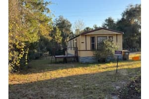 28710 COUNTY ROAD 42, PAISLEY, FL 32767 - MLS#MFRG5105045