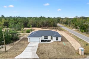 2 FISHER LANE TRAIL, OCKLAWAHA, FL 32179 - MLS#MFRG5105056
