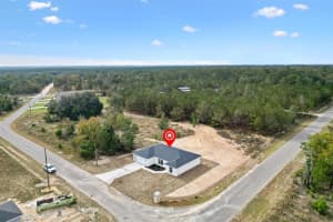 2 FISHER LANE TRAIL, OCKLAWAHA, FL 32179 - MLS#MFRG5105056