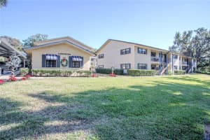 110 N Tremain St #110, MOUNT DORA