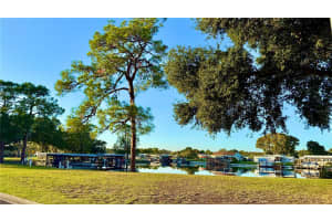 722 LANDRY LANE, TAVARES, FL 32778 - MLS#MFRG5105160