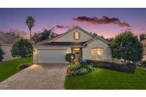 2132 BLACKVILLE DRIVE, THE VILLAGES, FL 32162 - MLS#MFRG5105164