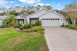 1110 SALIDO AVENUE, THE VILLAGES, FL 32159 - MLS#MFRG5105194