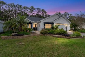 1110 SALIDO AVENUE, THE VILLAGES, FL 32159 - MLS#MFRG5105194