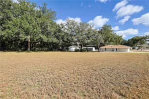 8783 156 PLACE, SUMMERFIELD, FL 34491 - MLS#MFRG5105234