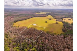 LINE BLOCK RD, CLERMONT, FL 34714 - MLS#MFRG5105250