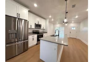 250 COLLINS STREET, UMATILLA, FL 32784 - MLS#MFRG5105286