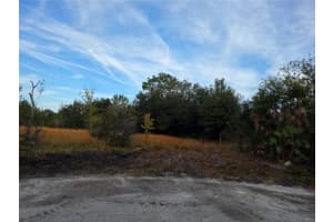 11975 BLACKLAND PATH, POLK CITY, FL 33868 - MLS#MFRG5105310