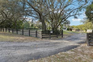 22301 CORONADO SOMERSET DRIVE, SORRENTO, FL 32776 - MLS#MFRG5105316