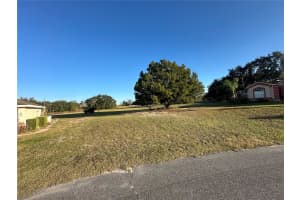 5432 CHESTNUT RIDGE ROAD, DADE CITY, FL 33523 - MLS#MFRG5105320