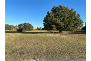 5432 CHESTNUT RIDGE ROAD, DADE CITY, FL 33523 - MLS#MFRG5105320