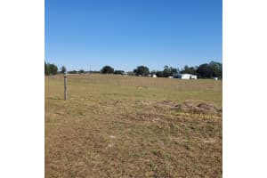 2926 SHARON ROAD, GROVELAND, FL 34736 - MLS#MFRG5105333
