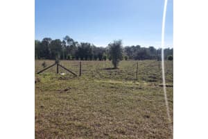 2926 SHARON ROAD, GROVELAND, FL 34736 - MLS#MFRG5105333
